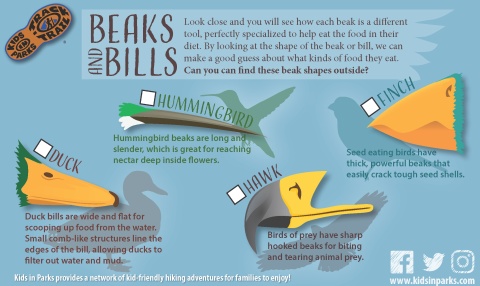 Beaks and Bills TRACKtivity