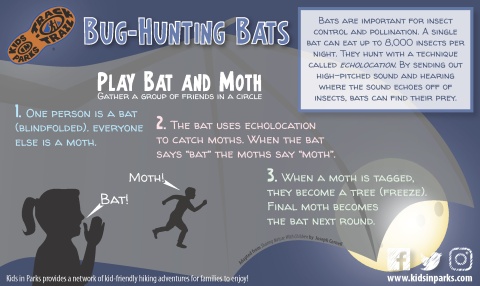 Bug-Hunting Bats TRACKtivity