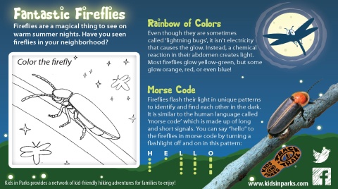 Fantastic Fireflies TRACKtivity