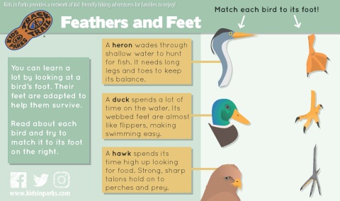 Feathers and Feet TRACKtivity