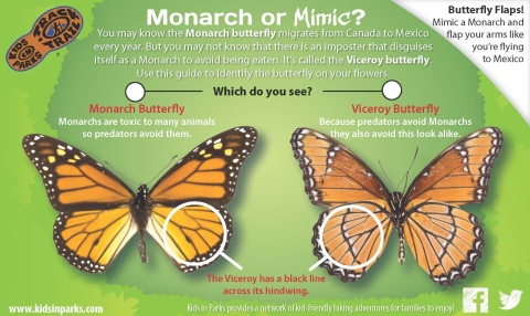 Monarch or Mimic? TRACKtivity