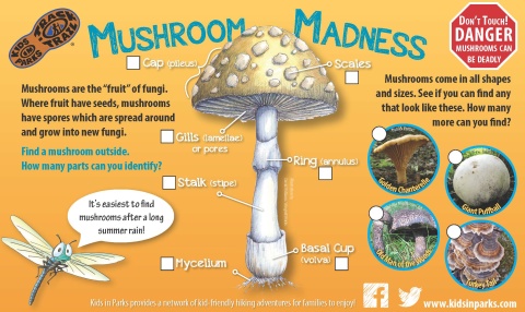 Mushroom Madness TRACKtivity