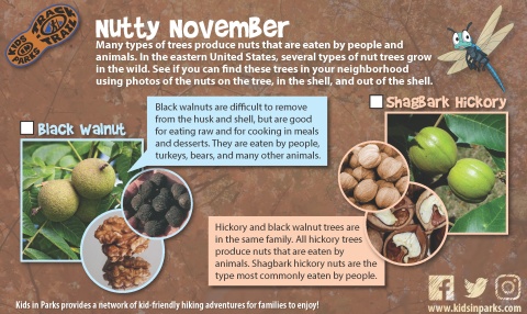 Nutty November TRACKtivity