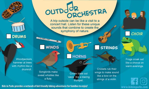 Outdoor Orchestra TRACKtivity