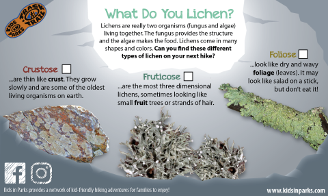 What Do You Lichen? TRACKtivity