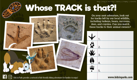 Whose TRACK is that?! TRACKtivity
