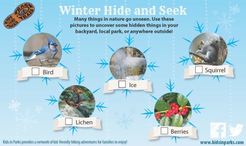 Winter Hide & Seek TRACKtivity