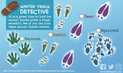 Winter Track Detective TRACKtivity
