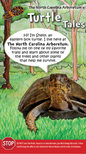 Turtle Tales Thumbnail