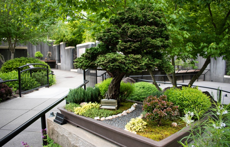 A miniature bonsai garden with a miniature bench