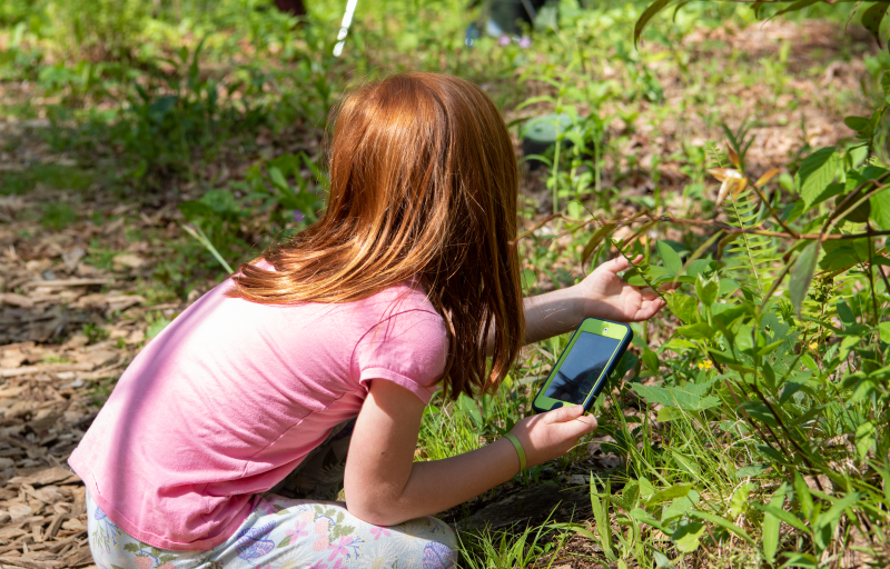 A child crouches over a plant with a phone in their hand, observing the plant