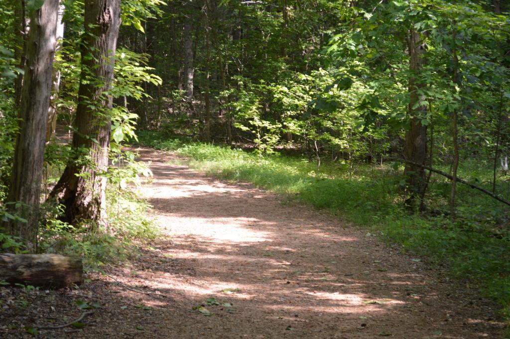 Reedy Creek Nature Preserve Kids in Parks