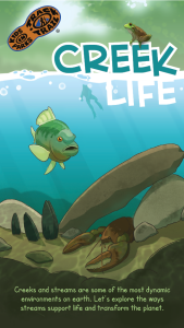 Creek Life Thumbnail