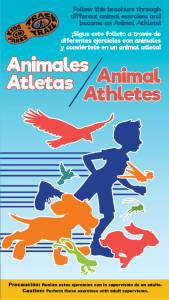 Animal Athletes Bilingual Brochure Thumbnail