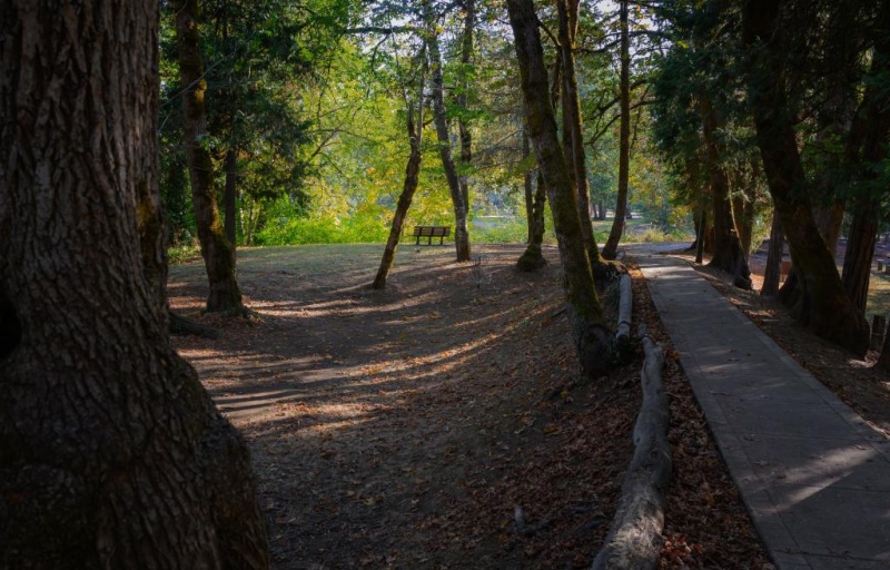 A sidewalk passing through a heavily shaded portion of the TRACK Trail with an empty bench in the background
