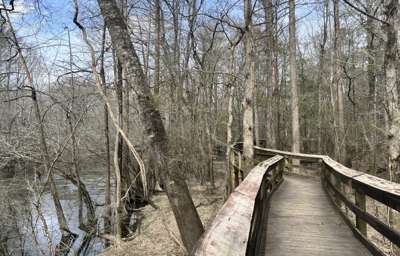 Boardwalk at Lynches River