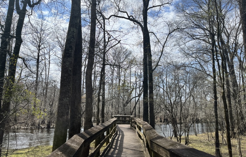 Boardwalk Trail