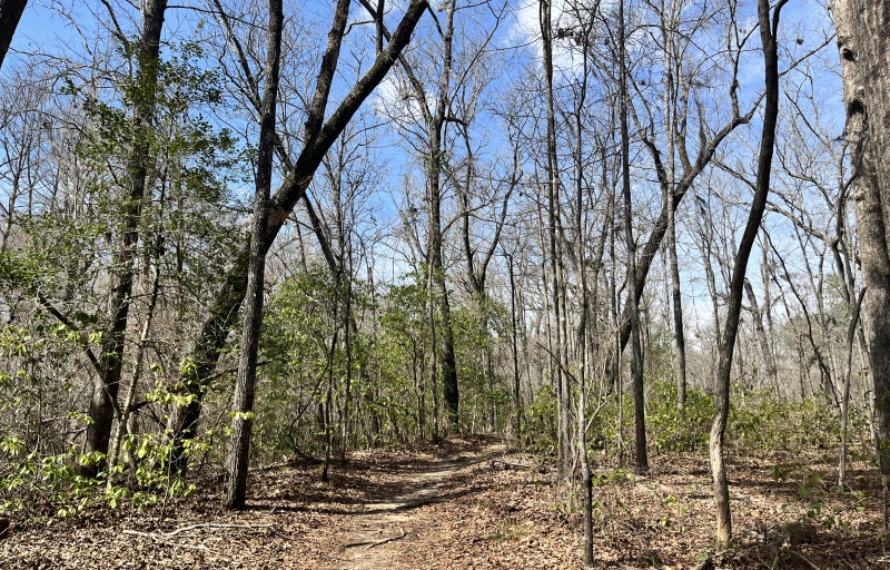 Nature Trail