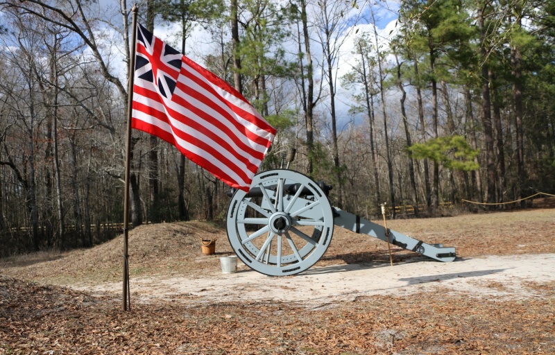 Cannon and Continental Flag