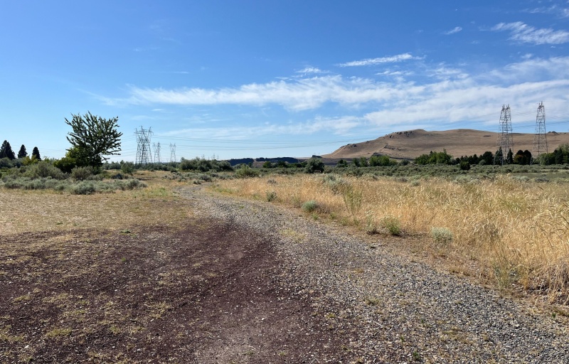 The various terrain of the McNary Dam TRACK Trail