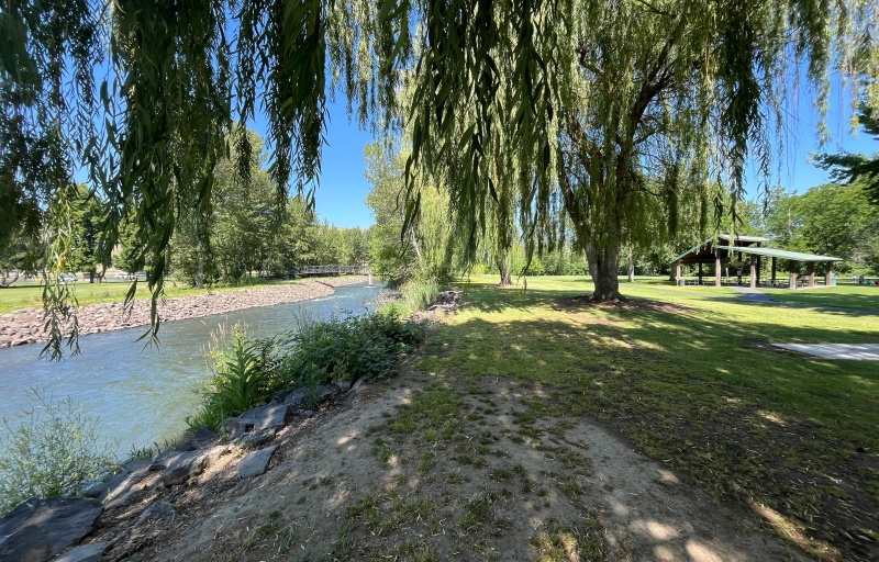 view of the creek from under the willow