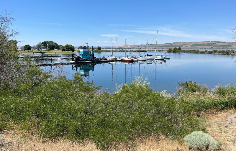 A view of the marina along the trail