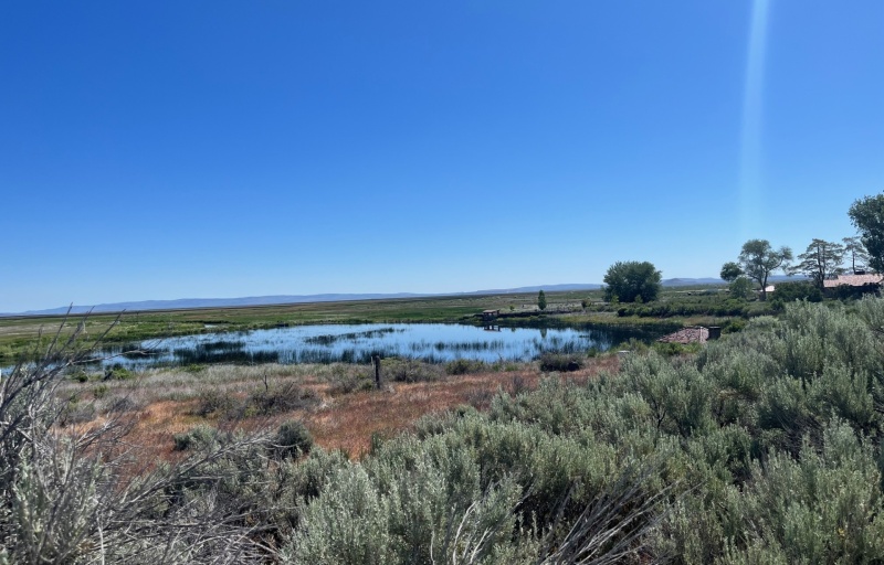 View of Marshall Pond from the trail