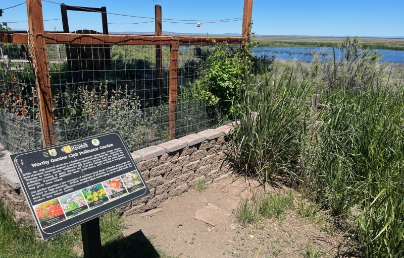 Pollinator Garden at Malheur