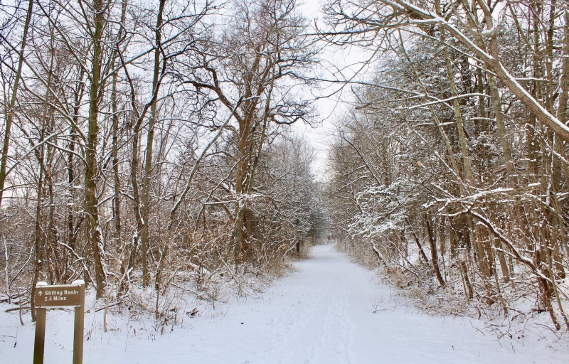 Snow covered trails on the way to Stilling Basin