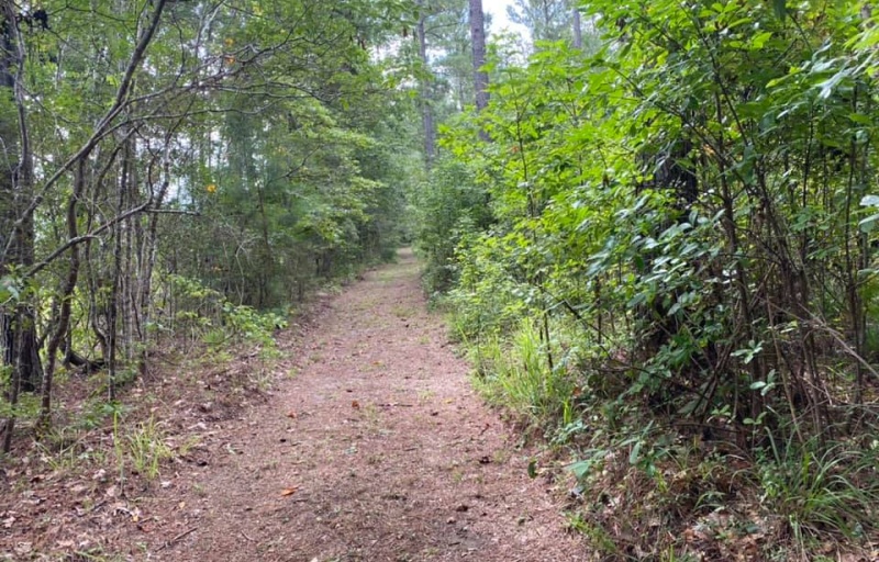 Rocky Point TRACK Trail