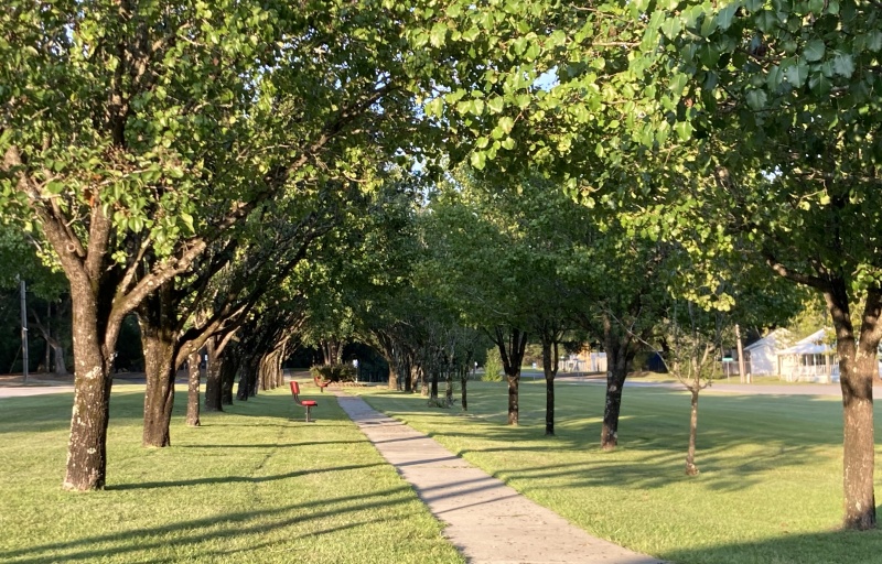 Hilda Walking trail