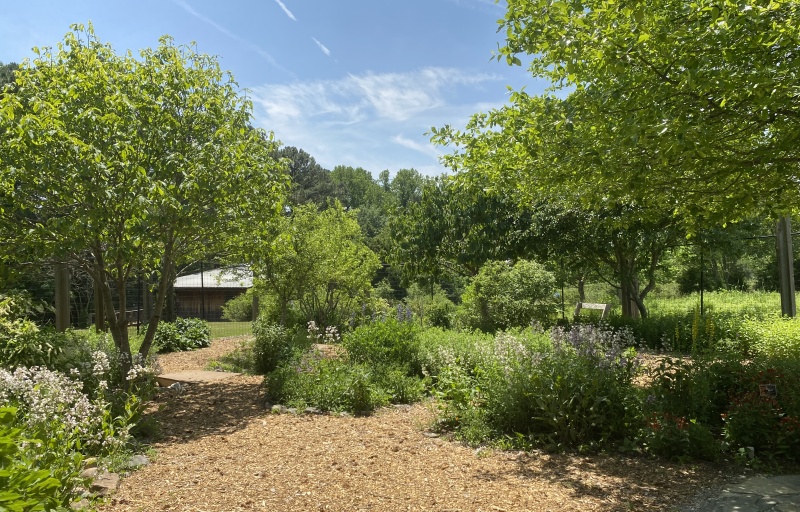 The Nature Neighborhood garden at Prairie Ridge EcoStation. A mulch path winds through a garden filled with native species..