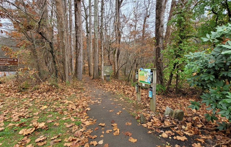 Oconaluftee River Trail covered in orange fall leaves