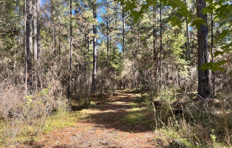 Rocky Point Trail