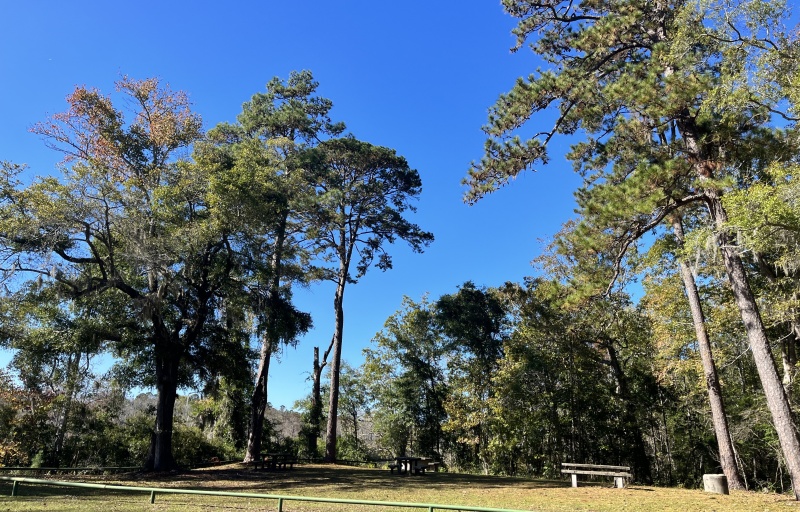 Picnic Area