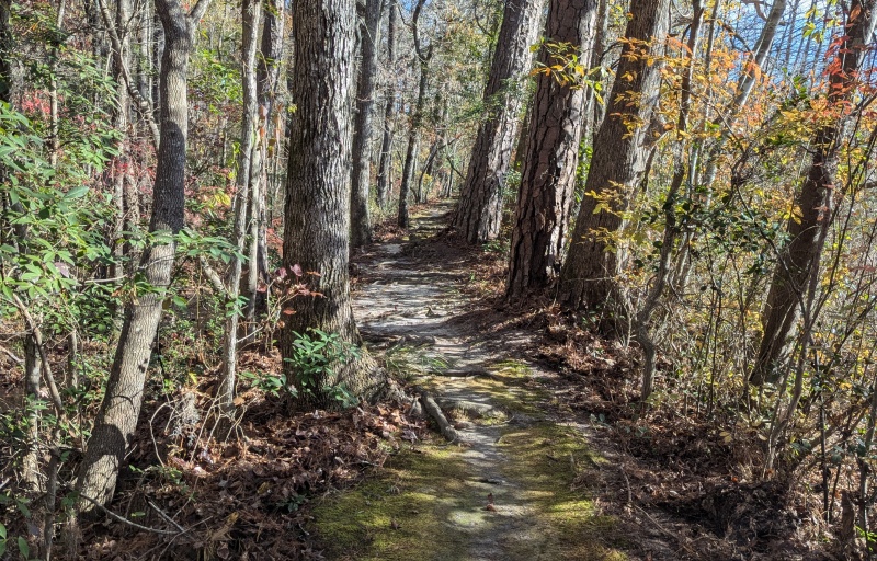 Woods Bay Trail