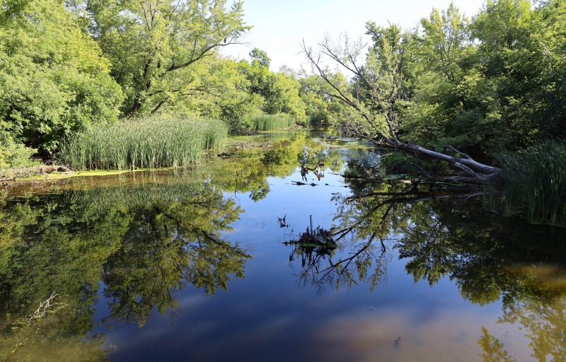 View of the Oxbow Lake