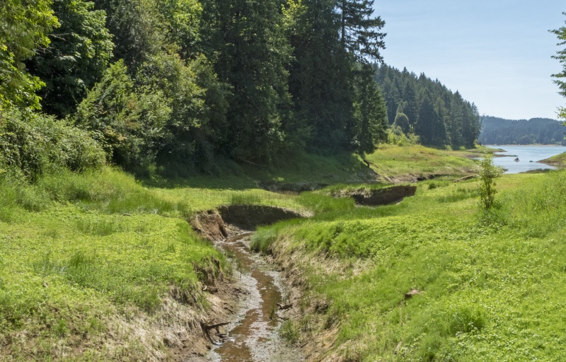 View of Hagg Lake