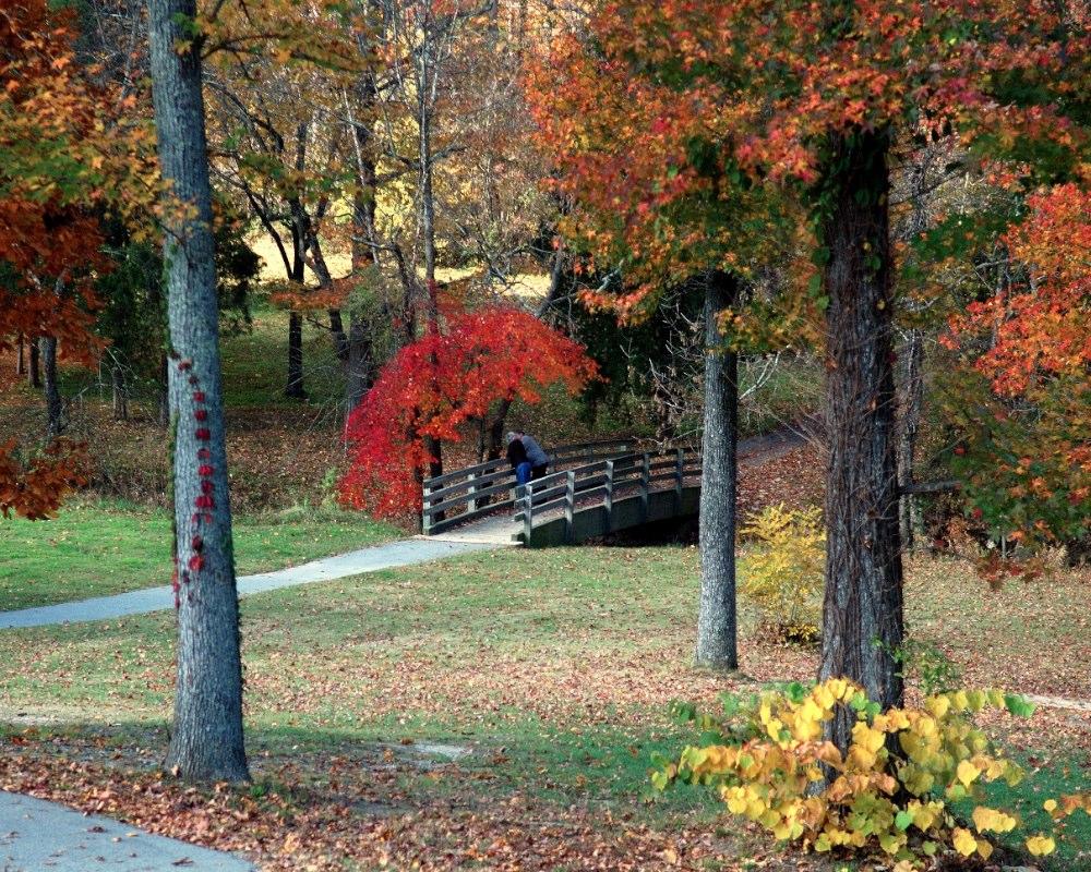 Creekside Park | Kids in Parks