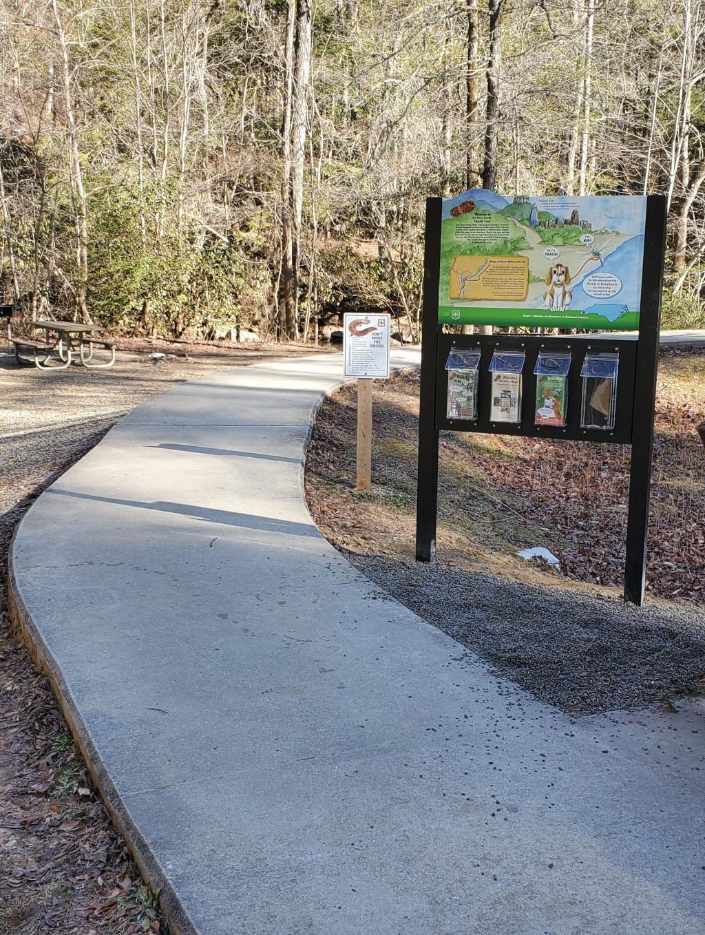 Nantahala National Forest - Fires Creek | Kids in Parks