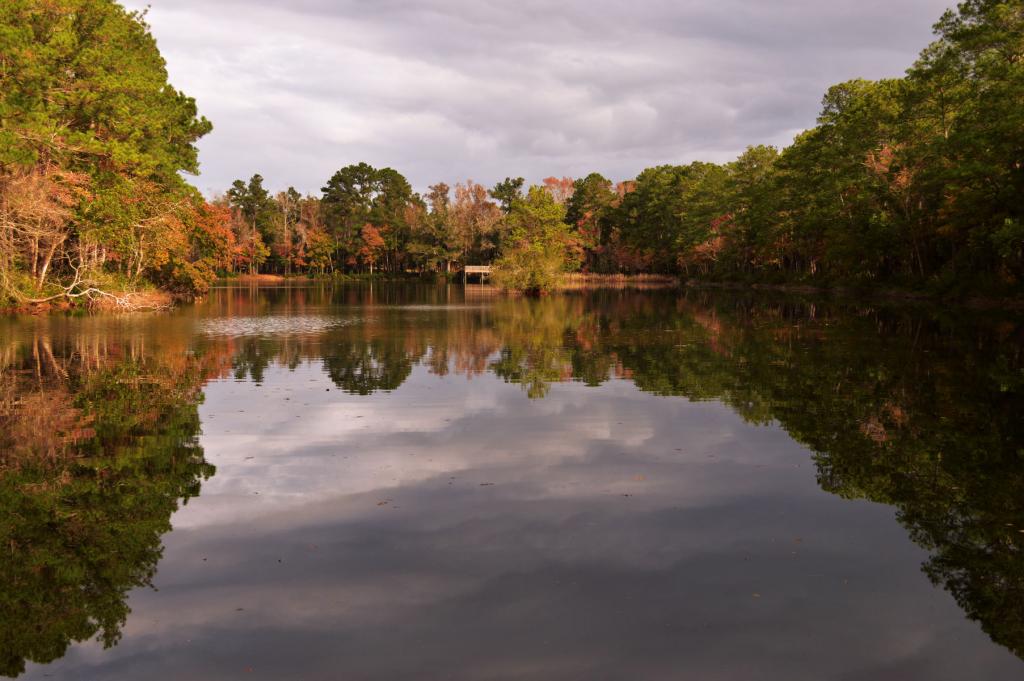 Miller's Pond Park | Kids in Parks