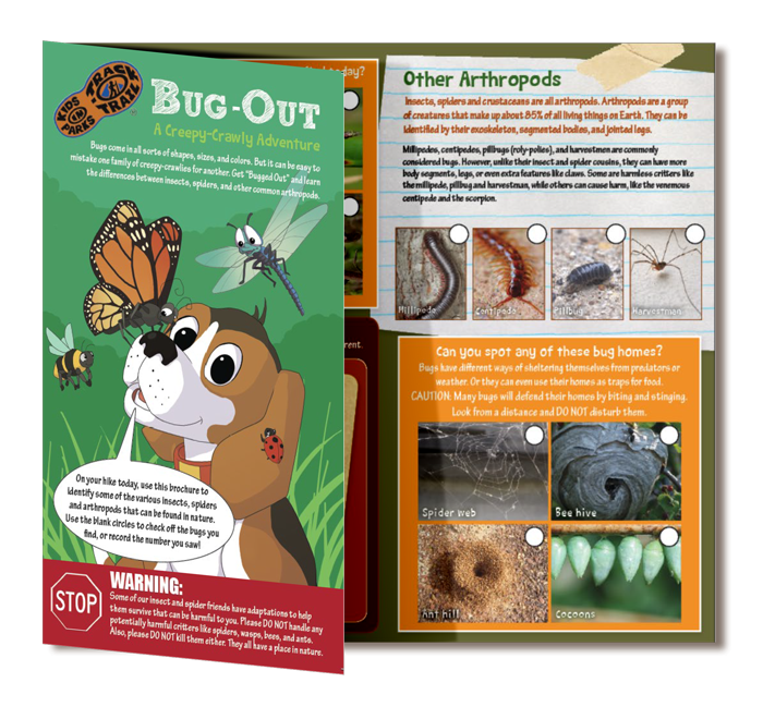 Bug Out Brochure