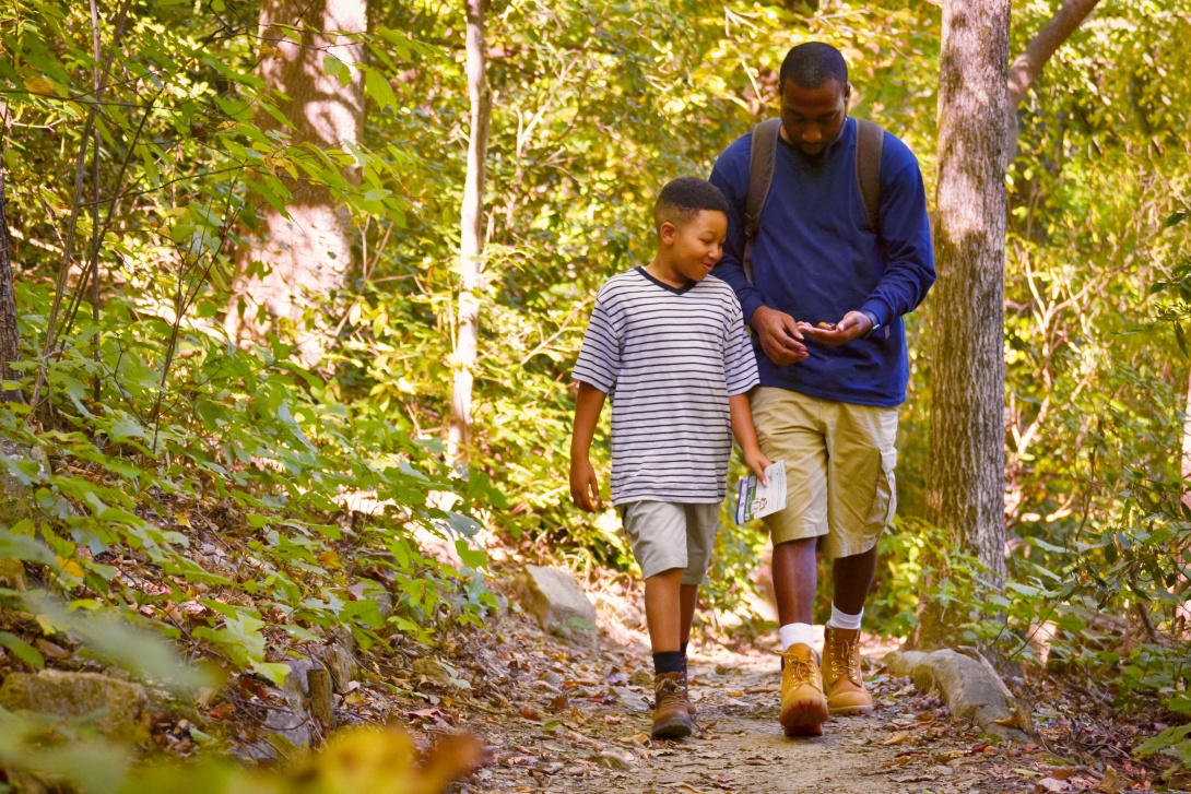 Father and son walking in the woods