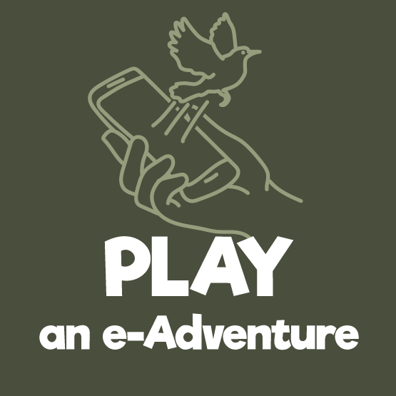 Play an e-Adventure