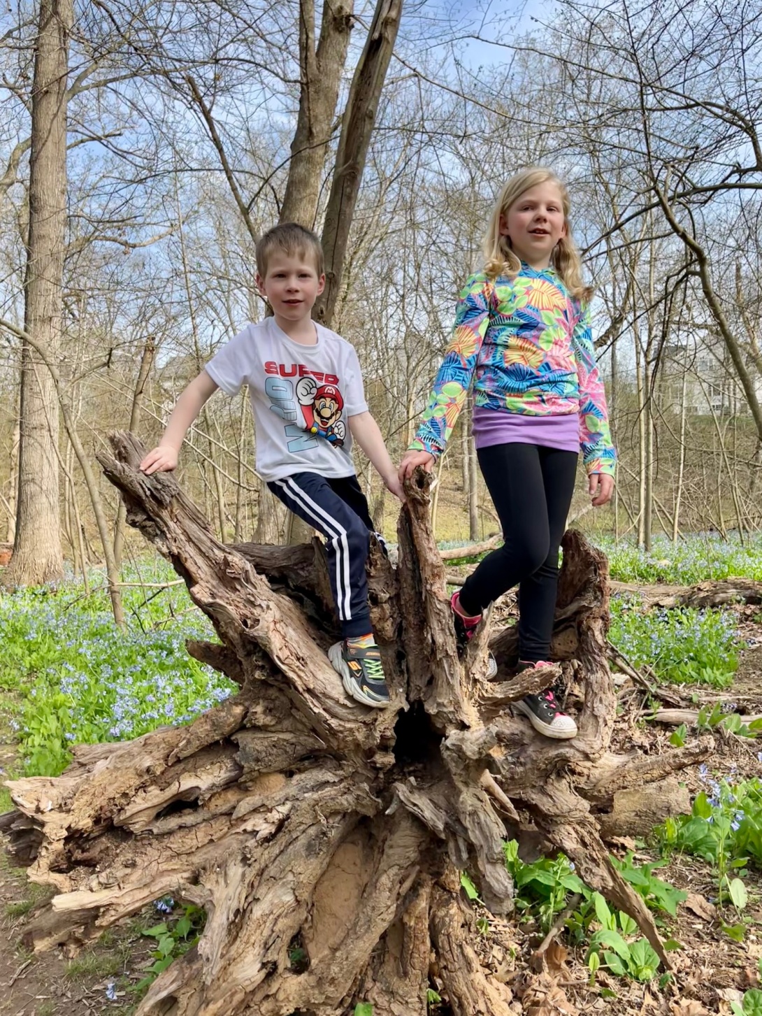 Exploring J. Bayard Clark Park